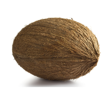 Coconut